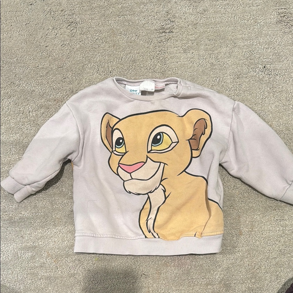 Zara Gray Nala Sweatshirt for Kids